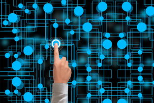 JIUYOU GAMING-冬奥会遗产利用与社会价值实现研究，冬奥会遗产战略计划